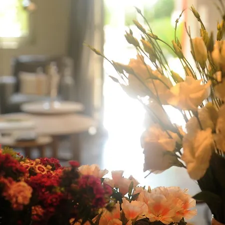 Les D'andrea Marseillan (Herault)