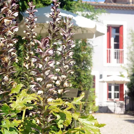 Bed & Breakfast Les D'andrea