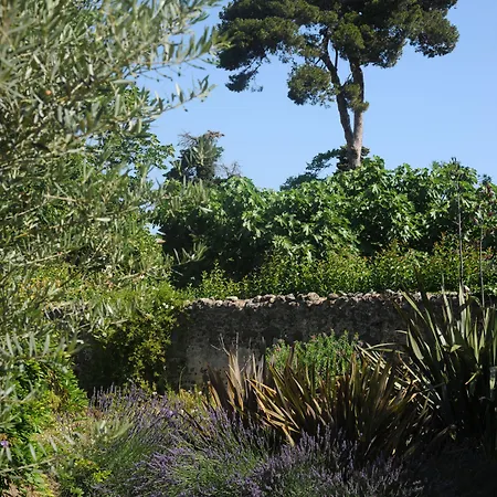 Frühstückspension Les D'andrea