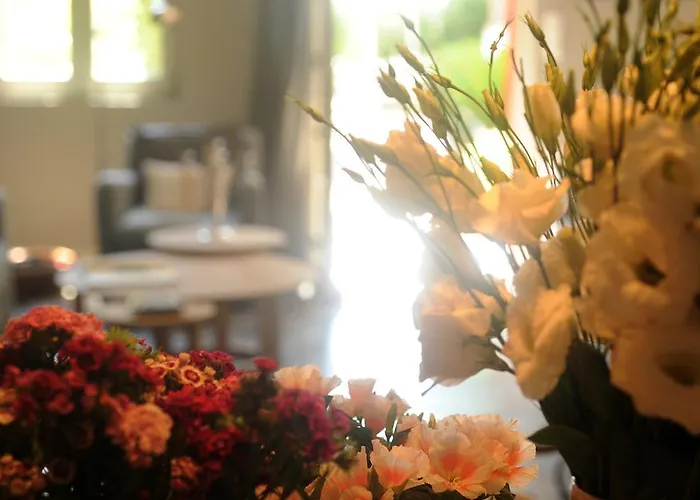 Les D'andrea Marseillan (Herault)