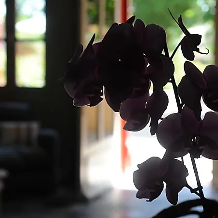 Les D'andrea Bed & Breakfast